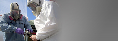 Training the best sprayers<br />Discover our training courses